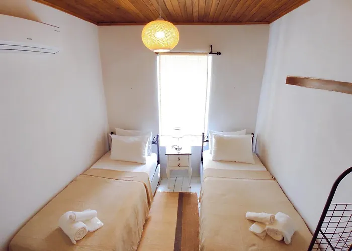 Kidoni Macaron Айвалык